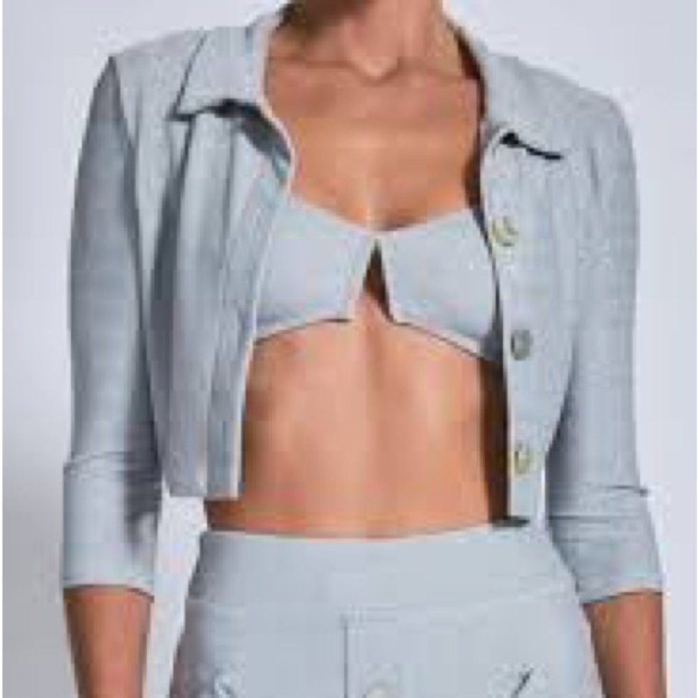 Devon Windsor Lila Jacket